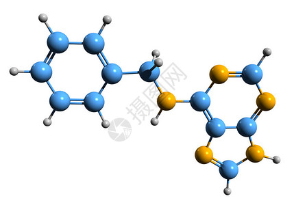 BAP细胞外基因骨骼配方3D图像白底隔离的6Benzyladenine图片