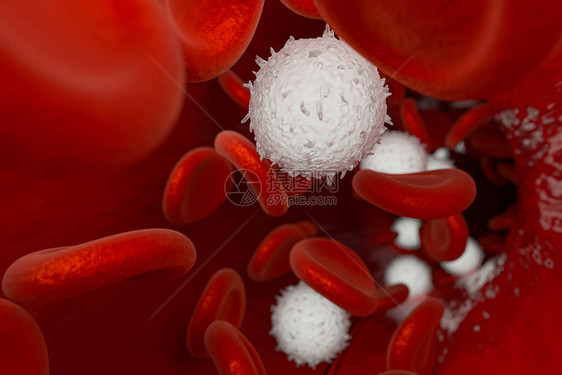 血容器中的红细胞和白细胞3D成像计图片