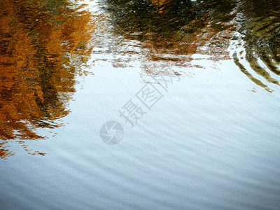 抽象纹理散焦的自然秋天模糊背景反射图片