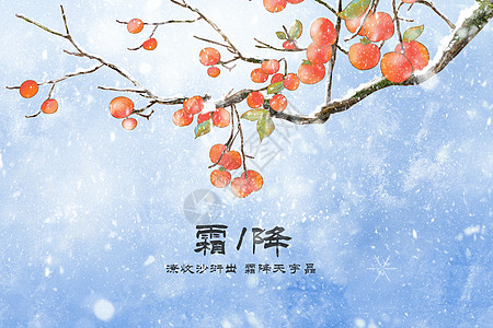 霜降插画秋天果实植物柿子二十四节气壁纸背景图片