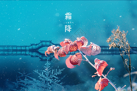 霜降唯美雪花桥面倒影图片