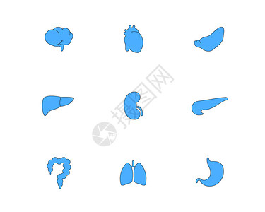 免抠心蓝色医疗五脏六腑图标svg图标元素套图插画