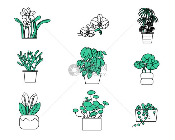 植物花草植物花草矢量元素套图图片