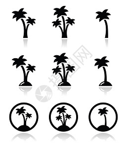 棕榈树充满异国情调的假日上矢量图标集图片