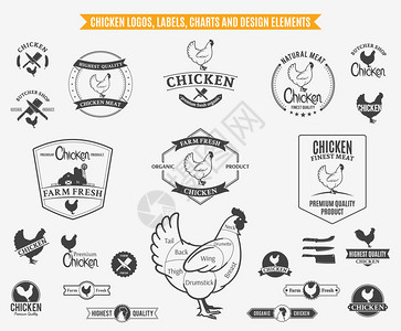 鸡的标志图表和设计元素图片