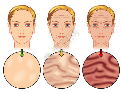 人体皮肤老化图片