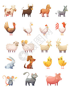 农场动物卡通套图片