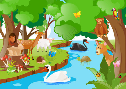 有多种动物插图的森林场景图片