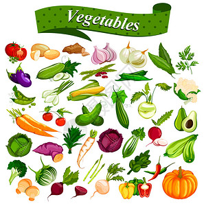 完整的集合的不同类型的新鲜和健康的蔬菜图片
