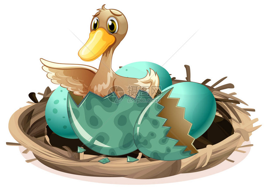 巢图中的丑小鸭孵化蛋图片
