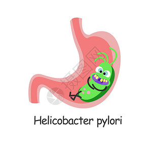 胃部的有害细菌矢量插图背景图片