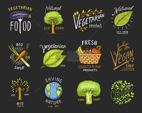 健康有机食品徽标或和元素为素食和农场绿色天然蔬菜产品矢量插图徽章健康生活刻在旧素描手绘图片