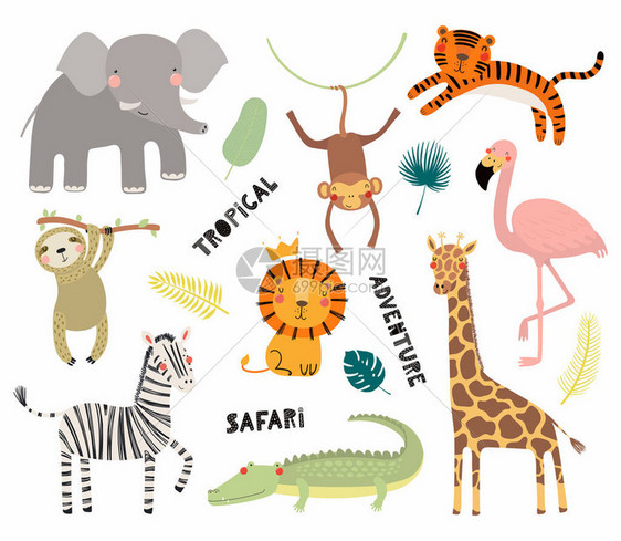 一套可爱有趣的非洲动物矢量图斯堪的纳维亚风格设计概图片