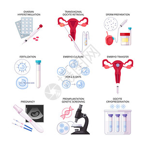 配有受孕胚胎培养转移和其他描述矢量插图的分离式平板体外受精图片