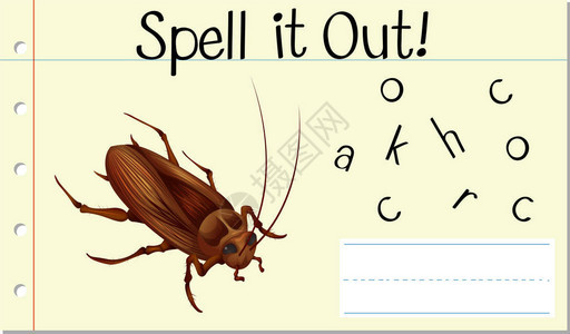 拼写英文单词蟑螂图图片