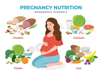 平面设计矢量图中的妊娠营养信息图表元素孤立在上的孕妇人物高钙富含铁叶酸蛋白质背景图片