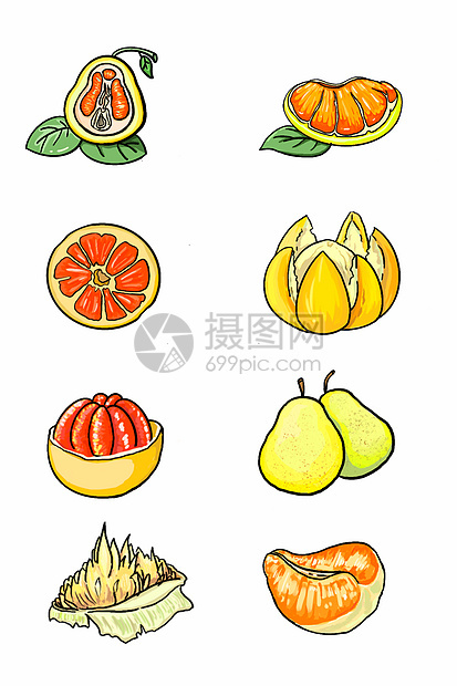 简约冬季柚子手绘插画图片