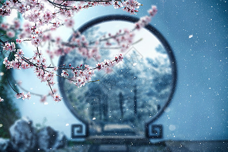 唯美大气腊梅冬季美景图片