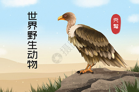世界野生动物秃鹫插画图片