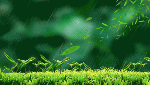 雨水发芽雨中发芽gif动图高清图片