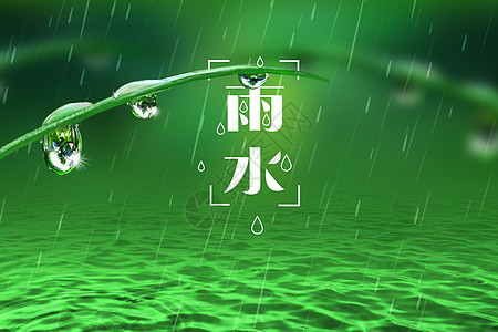 清新绿色雨水背景图片