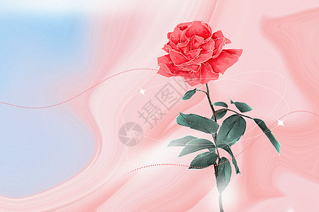 玫瑰情人节背景弥散风玫瑰背景设计图片