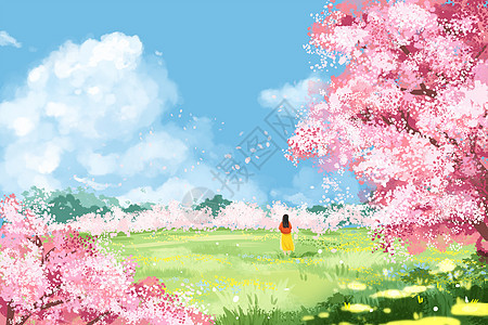春天春分节气樱花景色自然高清图片素材