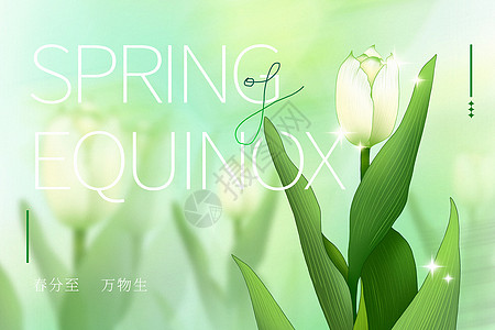 清新花之物语春分节背景图片