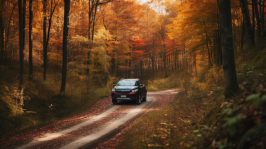 秋季森林里的suv汽车图片