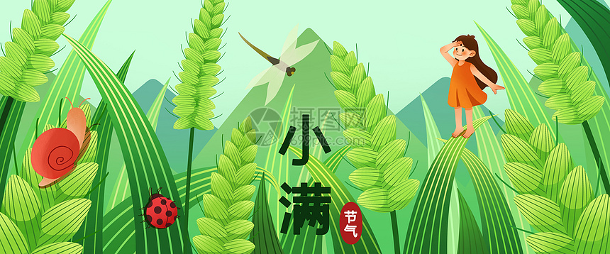 小满稻谷卡通插画banner图片