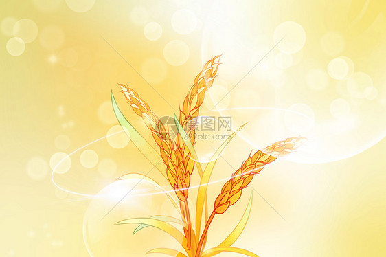麦穗色彩背景图片
