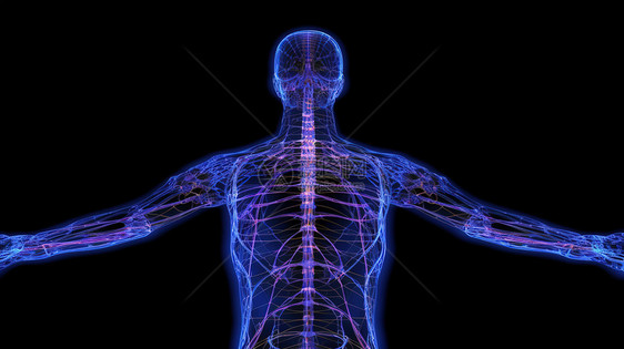 人体全身神经网络医疗健康概念图图片