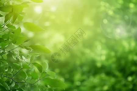夏天绿色植物背景绿叶背景图片
