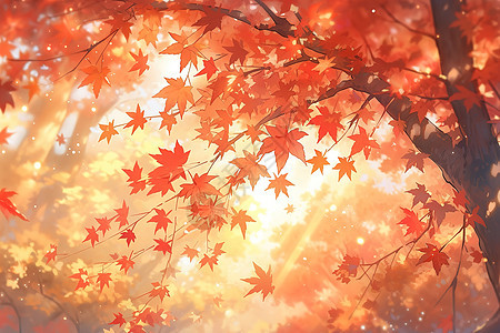 秋天红色叶子枫叶背景插画图片