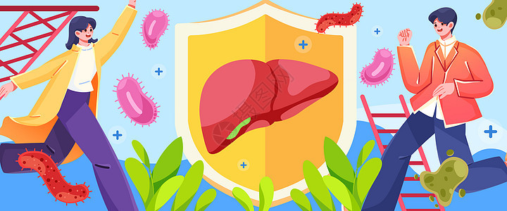 肝炎日保护肝脏插画banner图片