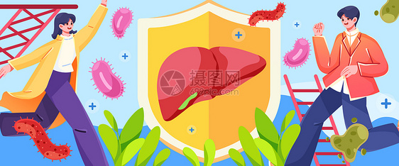 肝炎日保护肝脏插画banner图片