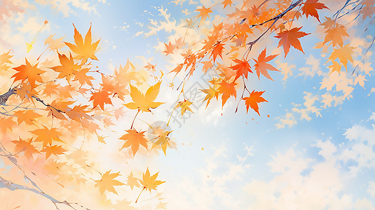 秋天的枫叶秋日秋分高清图片