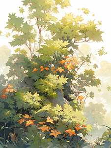 初秋长在山上的小小的卡通枫树图片