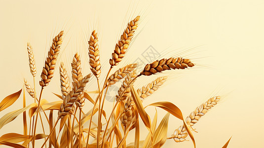 秋天唯美的卡通麦子背景图片