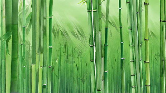 翠绿的竹子水彩插画图片