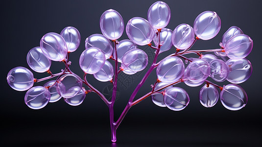 一树淡紫色的透明气球花图片