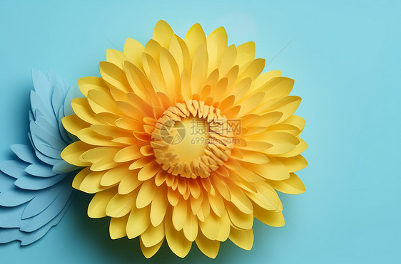 立体漂亮的黄色菊花图片