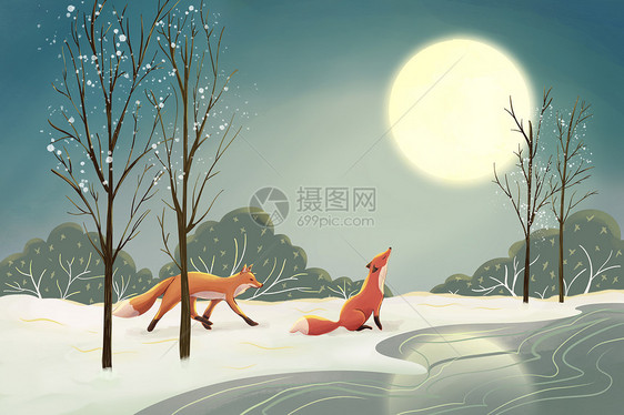 冬季大雪月亮下的狐狸图片