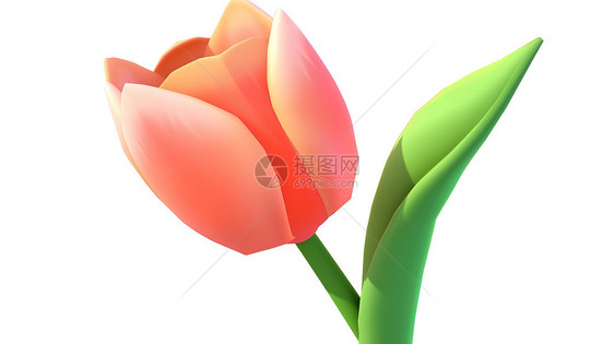 郁金香花朵3D图标图片