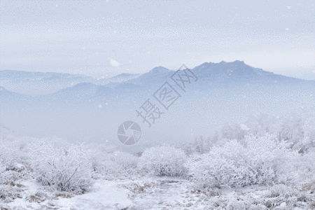 雪山大寒海报GIF图片