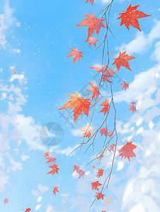 霜打过的卡通红叶与蓝蓝的天空图片