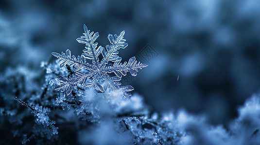 蓝色调梦幻漂亮的卡通雪花特写背景图片