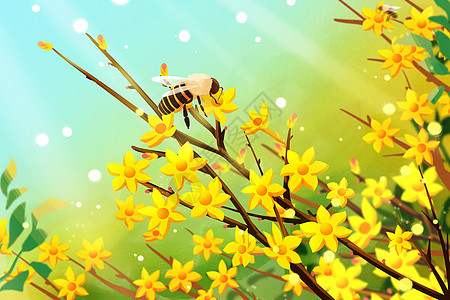 春天植物迎春花发芽蜜蜂采蜜插画图片