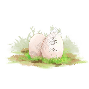 春分立蛋立起来的鸡蛋高清图片