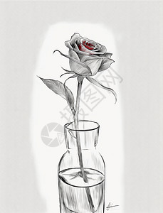 手绘素描风一枝玫瑰花高清图片